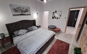Premium Class Apartmant - Free Parking